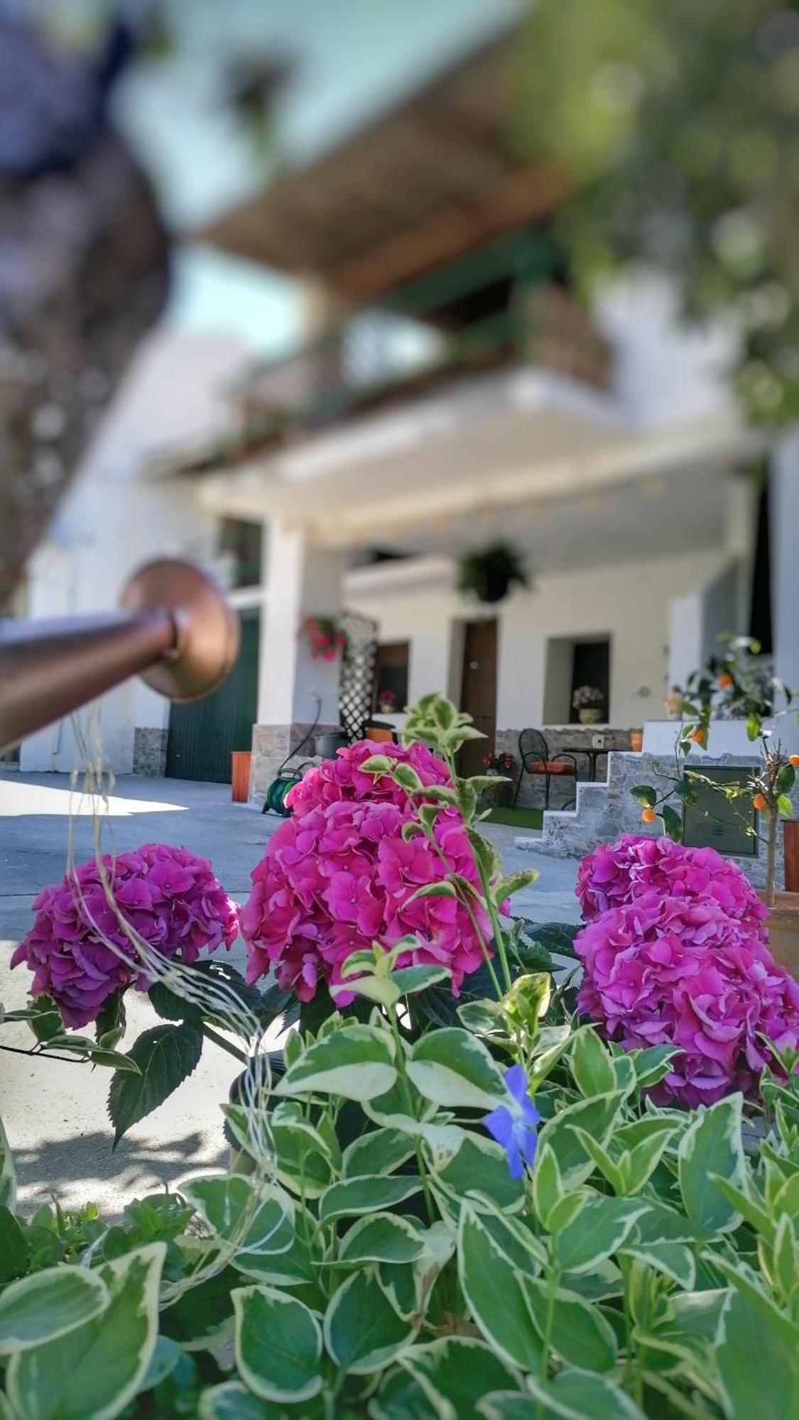 La Casa De La Abuela Apartman Pinos Genil Kültér fotó