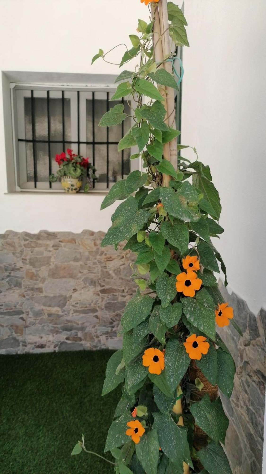 La Casa De La Abuela Apartman Pinos Genil Kültér fotó
