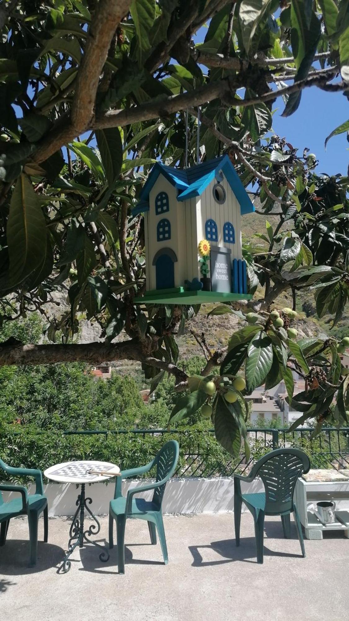 La Casa De La Abuela Apartman Pinos Genil Kültér fotó