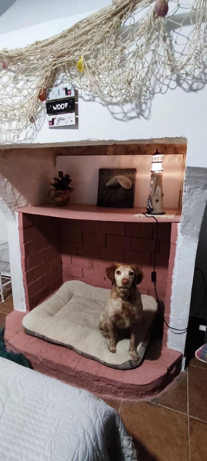 La Casa De La Abuela Apartman Pinos Genil Kültér fotó